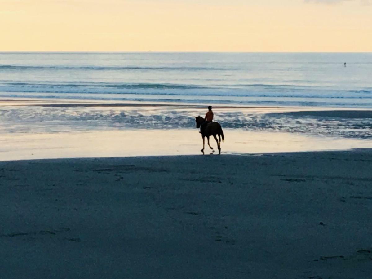 "Appartement Sur Digue" Proche De La Plage Avec Wifi Wimereux Buitenkant foto